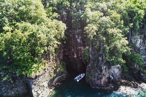 Martinique: Boat excursion to Rocher du Diamant, turtles, and caves. Martinique: Day Trip by Boat to Rocher du Diamant, Turtles, and Caves.