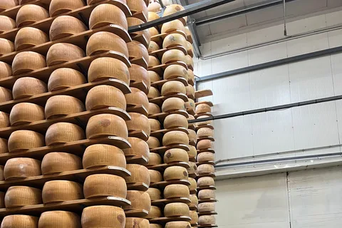 Le goût de Modène : Prosciutto, Parmesan, Balsamique et Ferrari
