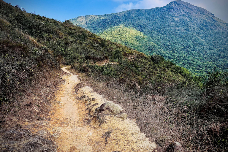 Ma On Shan Ridge & Hunchbacks Advanced Hike (Full Day)