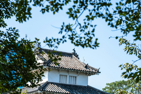 Nagano Snow Monkey private Day Tour from Tokyo
