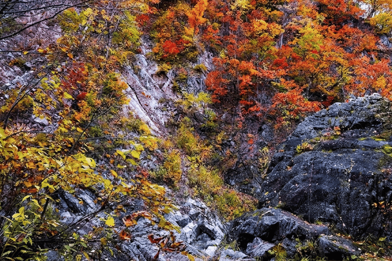 Sapporo: Hoheikyo Dam (丰平峡大坝), Jozankei & Outlet Tour