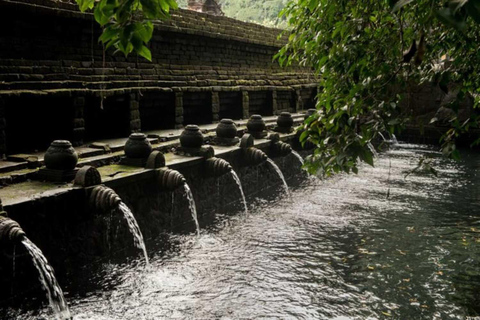 Ubud: Cascadas, Templo del Agua y Terrazas de Arroz Tour privadoTour privado con entrada Tikets