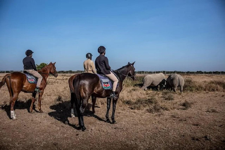 Nairobi: Ol Pejeta Conservancy Day Trip with Game Drives