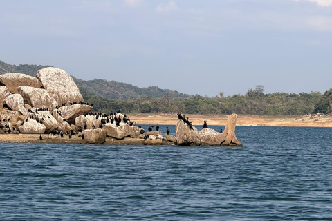 Ella: Gal Oya National Park Wildlife Boat Safari with Pickup