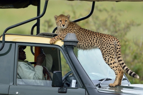 Safari de 3 jours à Tsavo Est et Ouest depuis Mombasa en Jeep 4x4