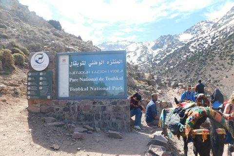 From Marrakech: 2-Day Mount Toubkal Trek + Accommodation