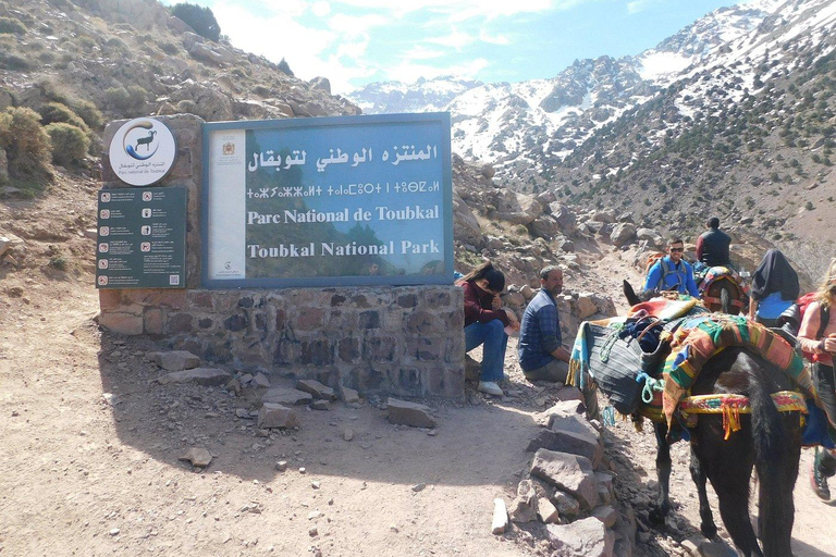 From Marrakech: 2-Day Mount Toubkal Trek + Accommodation