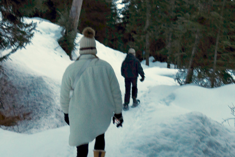 Vancouver: Whistler Day with Snowshoeing/Nordic Skiing
