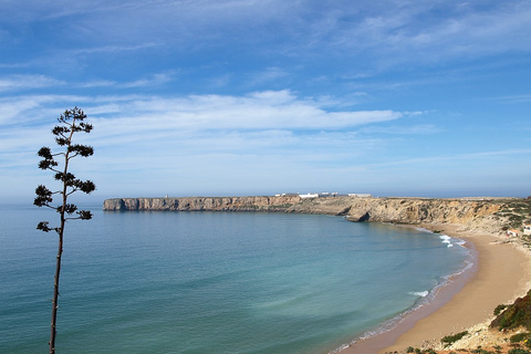 From Faro: 8-Day Tour of Portugal