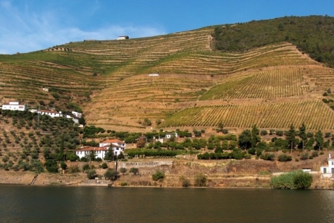 Private 8-Day Tour of Portugal from Lisbon