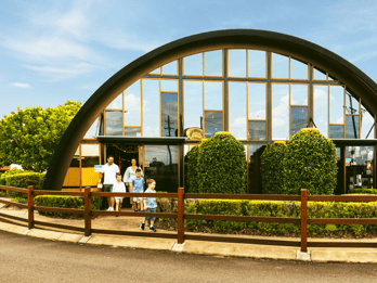 Bundaberg : Dégustation de bière et visite guidée des galeries d'art