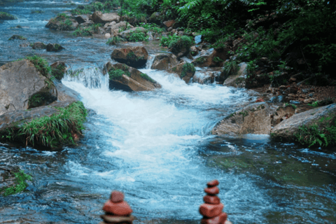 Zhangjiajie Express Day Trip: Avatar, Tianmen & Furong Town