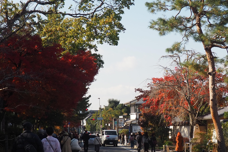 E-Bike Tour in Kyoto with Asuka, Japanese graduate student