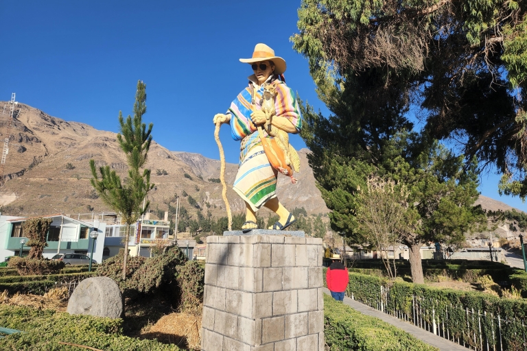 Arequipa: całodniowa wycieczka do Kanionu Colca