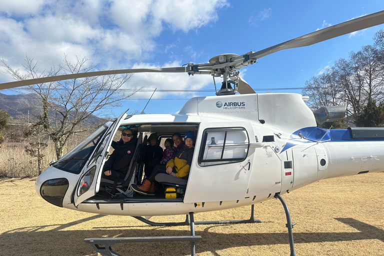 Tokyo: Guided City Tour with English guide