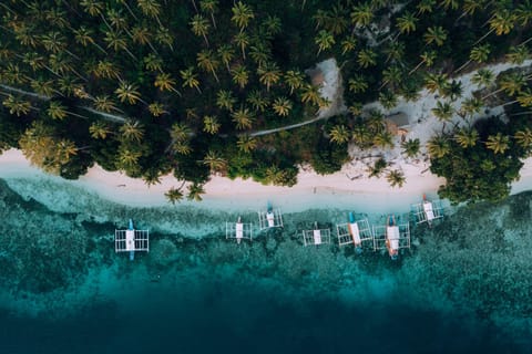 Puerto Princesa: 3 Days & 2 Nights Balabac Expedition Trip - Image 2