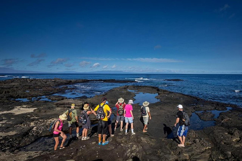 From Puerto Ayora: Daily Tour North Seymour Island & Lunch