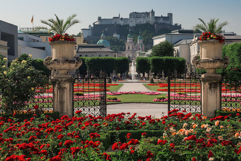 Wenen: Van meren naar bergen, rondreis door Hallstatt en Salzburg