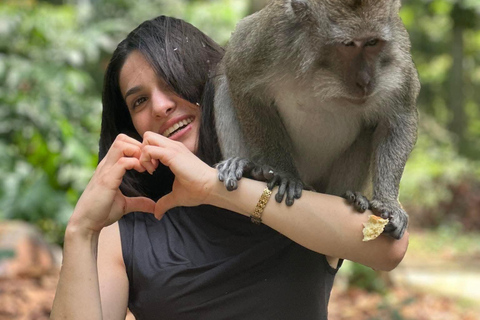 Ubud: avventura artistica, scimmie sacre e pace rurale