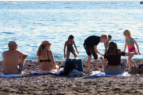 Rome: Pompeii & Amalfi Coast Day Trip, Skip-the-Line POMPEII ONLY Day Experience – No Amalfi Coast Included