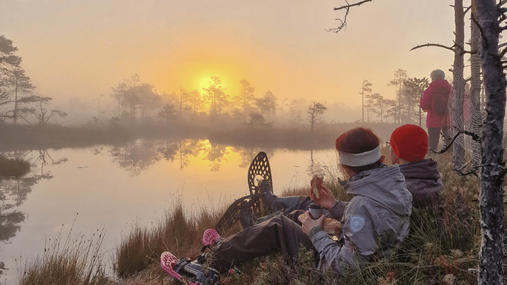Ab Riga: Bog-Shoe-Wanderung in Lettlands wilder Natur (Englisch oder Deutsch)
