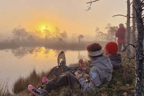 Vanuit Riga: Moerasschoenwandeltocht in Cenas of Ķemeri Bog