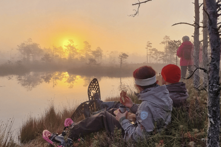 From Riga: Bog-Shoe Hiking Tour at Cenas or Ķemeri Bog