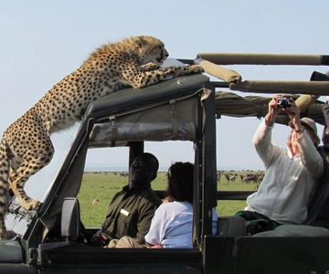 3Days Masai Mara & Naivasha Boat ride Group Joining Camping