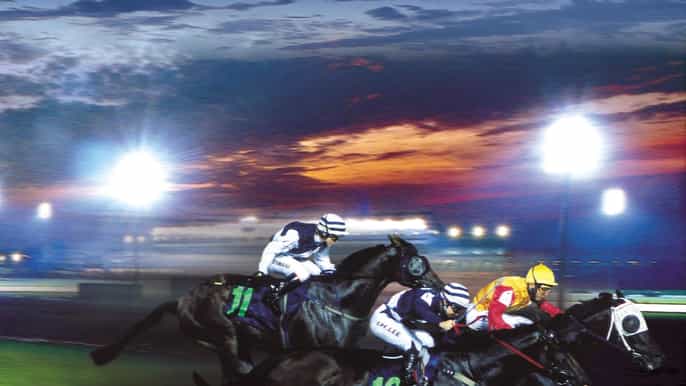 go racing singapore turf club horse racing