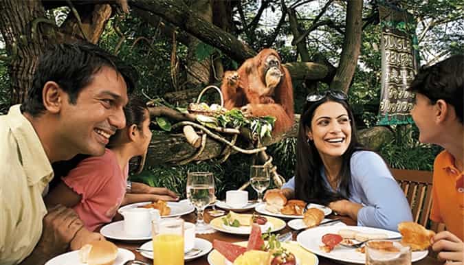 singapore zoo morning ticket with hotel pickup