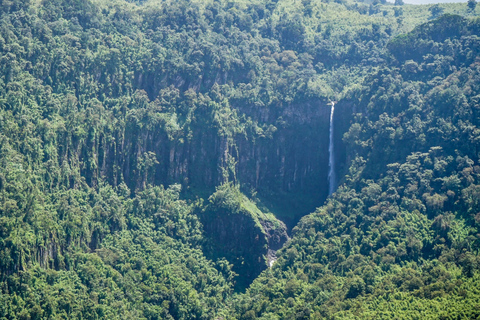 Visite du parc national d&#039;Aberdare depuis Nairobi