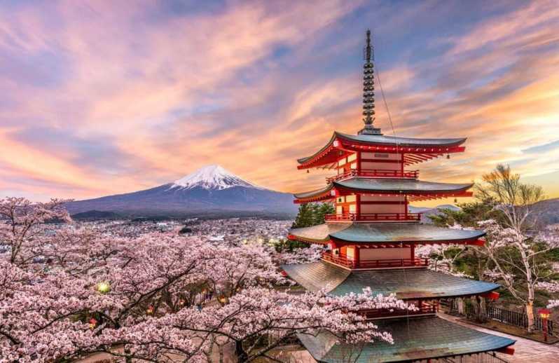 Da Tokyo: Escursione al Monte Fuji con autista parlante inglese