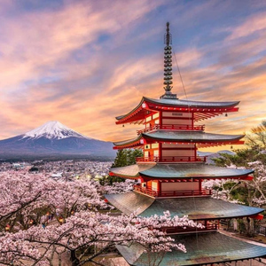 From Tokyo: Mount Fuji day Trip with English Speaking Driver
