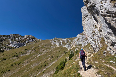 From Brasov: Piatra Craiului Guided Hike with Hotel Pickup