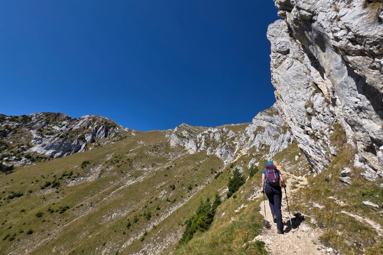 From Brasov: Piatra Craiului Guided Hike with Hotel Pickup