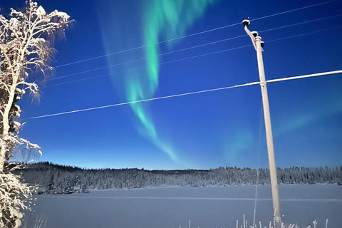 Aurora Borealis Minibus Tour – Torneträsk & Arctic Adventure