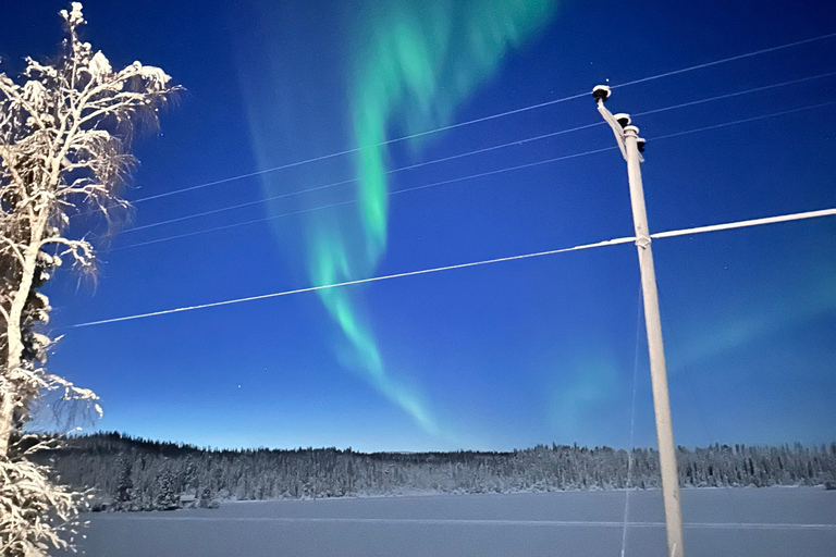 Aurora Borealis Minibus Tour – Torneträsk & Arctic Adventure