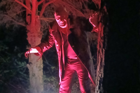 Francfort : théâtre d'horreur avec visite guidée « La résurrection de Nosferatu »