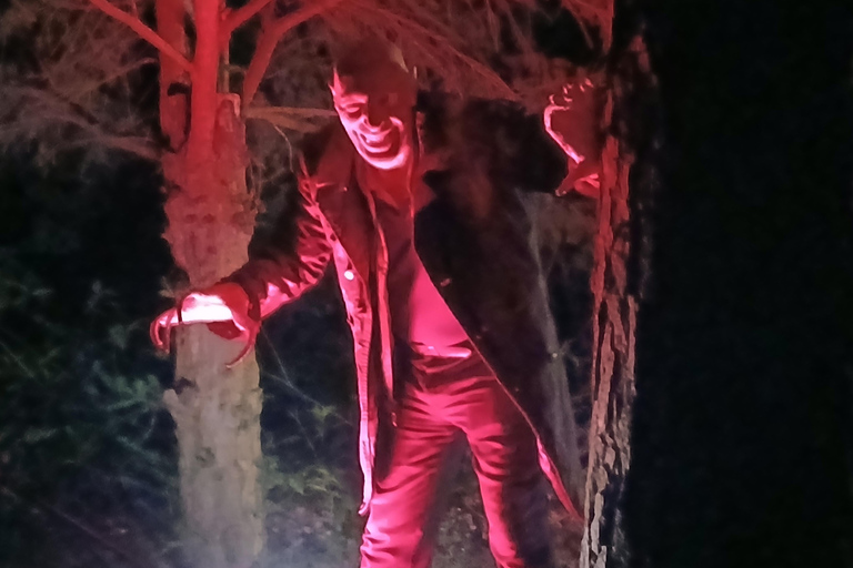 Francfort : théâtre d'horreur avec visite guidée « La résurrection de Nosferatu »