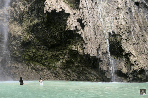 Oslob: Whale Sharks, Tumalog Falls & Sumilon Trio Adventure
