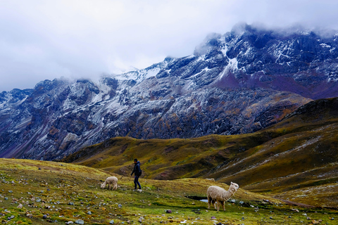 Cusco: Fascinating Mountain of 7 Colors Day Tour