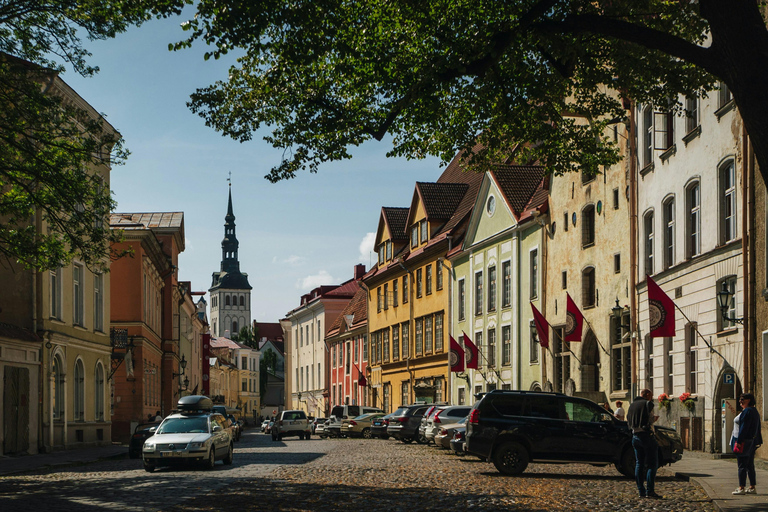 Tallinn: Private Walking Tour with Viru Gate and Toompea …