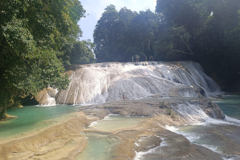 Palenque Archeological zone and Roberto Barrios Waterfalls Palenque archeological zone and Roberto Barrios waterfall