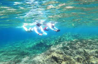 Nizza, Beaulieu Sur Mer: Sea Scooter Schnorchel-Tour
