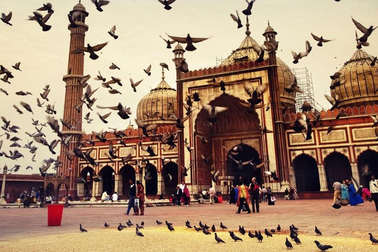 From Delhi: 3-Day Private Golden Triangle Tour with Hotels Inclusive With 3 Star Hotel