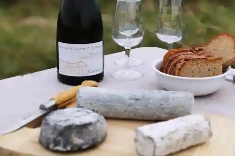 Touraine wine & cheese ebike ride, tasting in the vineyards