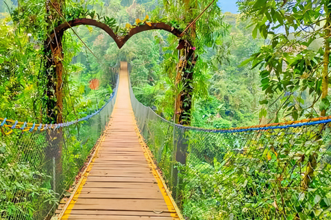 Jakarta Tour : Situ Gunung Waterfall & Suspension Bridge