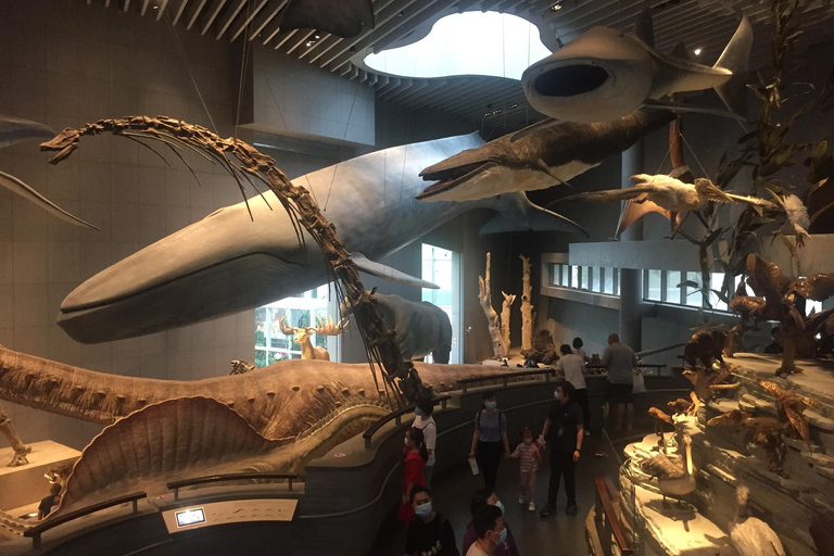 Shanghai Natural History Museum Admission Ticket