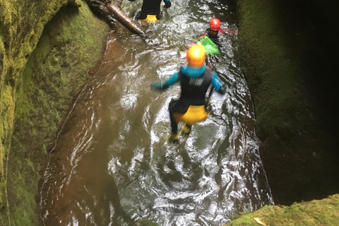 Madère : Expérience complète de canyoning