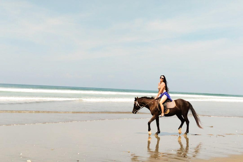 Seminyak: Bali Horse riding Adventure Seminyak Beach 1 Hour ride (meet at meeting point)